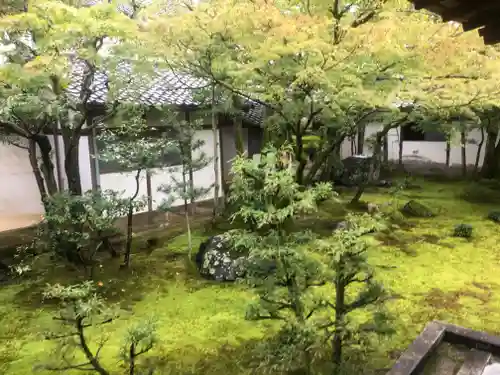 仁和寺の庭園