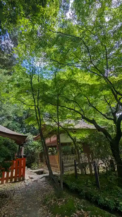 賀茂別雷神社(上賀茂神社)(京都府)