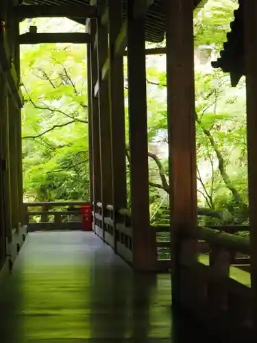 禅林寺（永観堂）(京都府)
