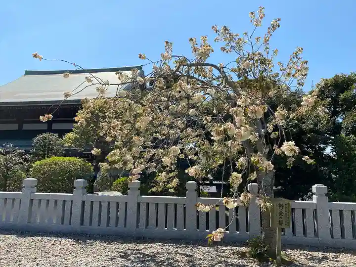 成田山新勝寺の自然