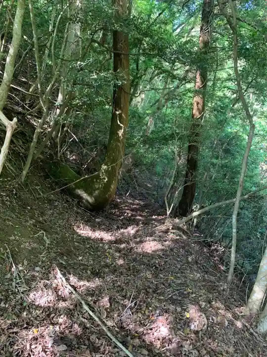 大代神社(千葉県)