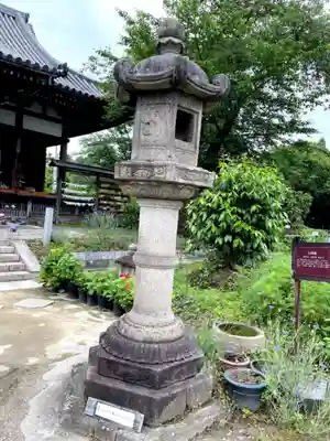 般若寺 ❁﻿コスモス寺❁(奈良県)