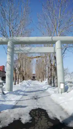 遠別神社の鳥居