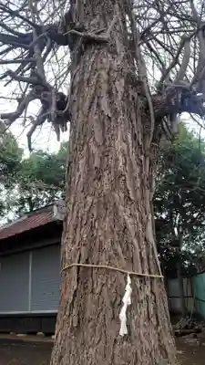諏訪神社(神奈川県)