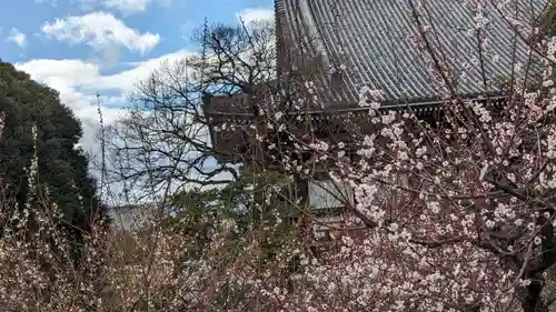  智積院(京都府)