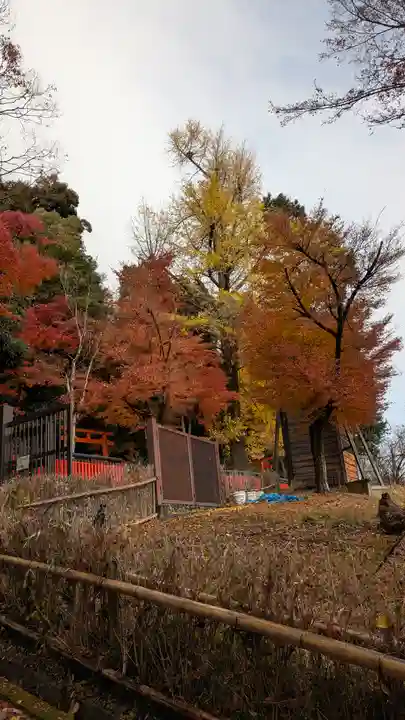 観音寺(山崎聖天)(京都府)