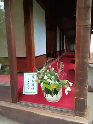 高幡不動尊　金剛寺(東京都)