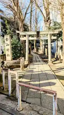 荻窪白山神社の鳥居