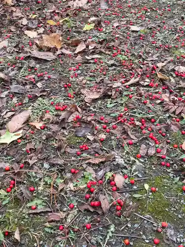 美国神社(北海道)