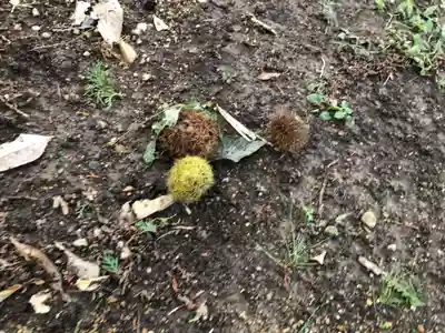 菅田神社(兵庫県)