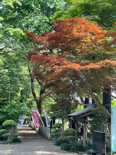 馬場氷川神社(埼玉県)