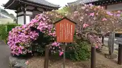 満昌寺の自然