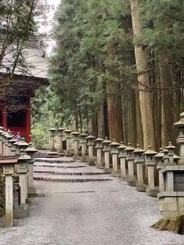 三峯神社(埼玉県)