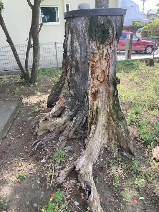 八森稲荷神社(神奈川県)