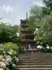 本土寺(千葉県)