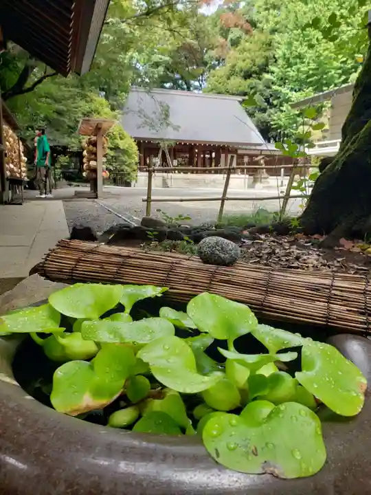 乃木神社(東京都)