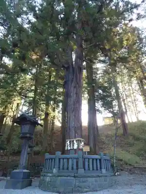 諏訪大社下社春宮(長野県)