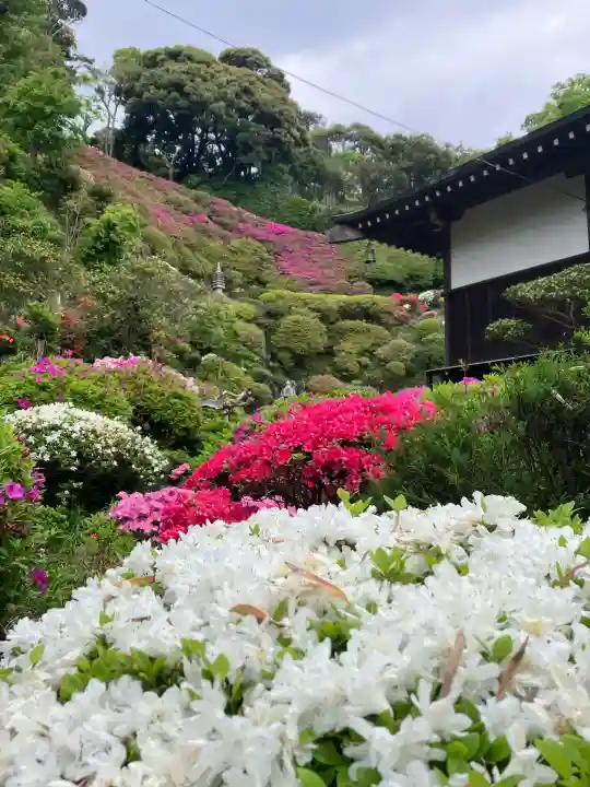 仏行寺(佛行寺)(神奈川県)