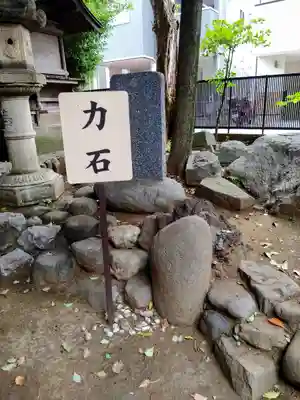 鳩ヶ谷氷川神社(埼玉県)