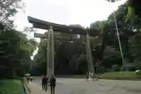 明治神宮の鳥居