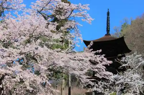 国宝 大法寺の塔