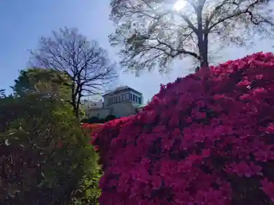 根津神社(東京都)