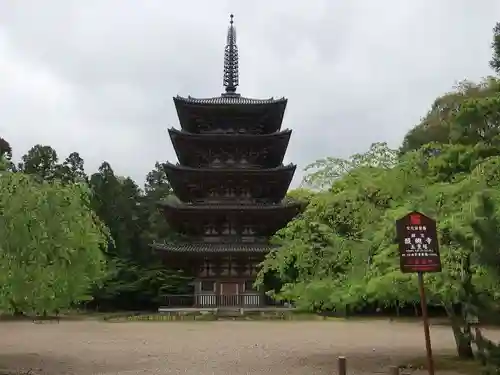 醍醐寺(京都府)