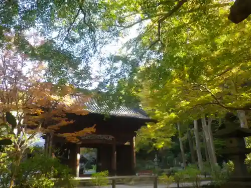 妙本寺の山門