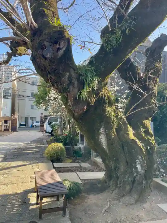 栄松院の{uncategorized: "未分類", other: "その他", undefined: "問題あり", building: "その他建物", grave: "お墓", sacred_gate: "鳥居", guardian: "狛犬", statue: "像", buddha: "仏像", history: "歴史", nature: "自然", garden: "庭園", animal: "動物", pagoda: "塔", temizu: "手水舎", mountain_gate: "山門・神門", sanctuary: "本殿・本堂", subordinate: "末社・摂社", art: "芸術", scenery: "景色", jizo: "地蔵", ema: "絵馬", goshuin: "御朱印", omikuji: "おみくじ", items: "授与品その他", amulet: "お守り", goshuincho: "御朱印帳", eats: "食事", festival: "お祭り", votive_dance: "神楽", shichigosan: "七五三参", wedding: "結婚式", experience: "体験その他", initially: "初詣", around: "周辺", anti_infection: "感染症対策"}