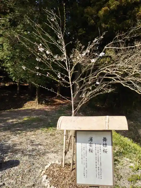 鹿島大神宮(福島県)
