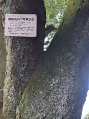 針綱神社　御旅所(愛知県)