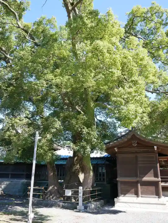 焼津神社のその他建物