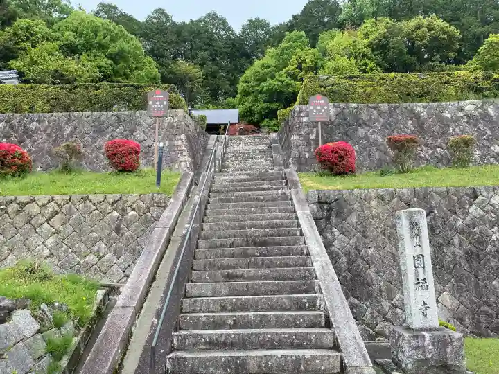 圓福寺の{uncategorized: "未分類", other: "その他", undefined: "問題あり", building: "その他建物", grave: "お墓", sacred_gate: "鳥居", guardian: "狛犬", statue: "像", buddha: "仏像", history: "歴史", nature: "自然", garden: "庭園", animal: "動物", pagoda: "塔", temizu: "手水舎", mountain_gate: "山門・神門", sanctuary: "本殿・本堂", subordinate: "末社・摂社", art: "芸術", scenery: "景色", jizo: "地蔵", ema: "絵馬", goshuin: "御朱印", omikuji: "おみくじ", items: "授与品その他", amulet: "お守り", goshuincho: "御朱印帳", eats: "食事", festival: "お祭り", votive_dance: "神楽", shichigosan: "七五三参", wedding: "結婚式", experience: "体験その他", initially: "初詣", around: "周辺", anti_infection: "感染症対策"}
