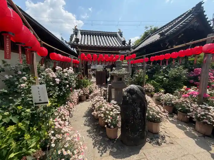 おふさ観音(観音寺)の{uncategorized: "未分類", other: "その他", undefined: "問題あり", building: "その他建物", grave: "お墓", sacred_gate: "鳥居", guardian: "狛犬", statue: "像", buddha: "仏像", history: "歴史", nature: "自然", garden: "庭園", animal: "動物", pagoda: "塔", temizu: "手水舎", mountain_gate: "山門・神門", sanctuary: "本殿・本堂", subordinate: "末社・摂社", art: "芸術", scenery: "景色", jizo: "地蔵", ema: "絵馬", goshuin: "御朱印", omikuji: "おみくじ", items: "授与品その他", amulet: "お守り", goshuincho: "御朱印帳", eats: "食事", festival: "お祭り", votive_dance: "神楽", shichigosan: "七五三参", wedding: "結婚式", experience: "体験その他", initially: "初詣", around: "周辺", anti_infection: "感染症対策"}