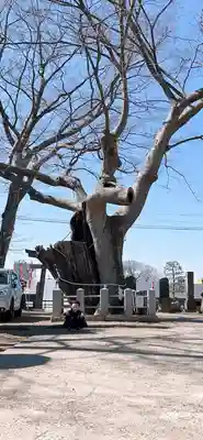 阿邪訶根神社(福島県)