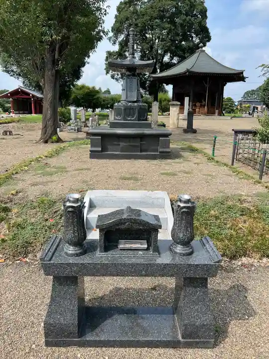 下野薬師寺 (旧 安國寺)(栃木県)