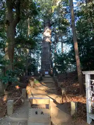 麻賀多神社(千葉県)