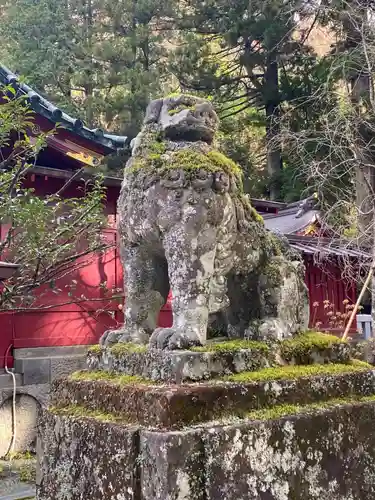 箱根神社の狛犬