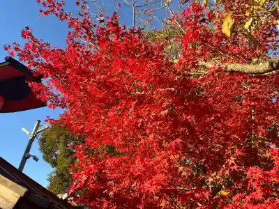 宝来山神社(和歌山県)