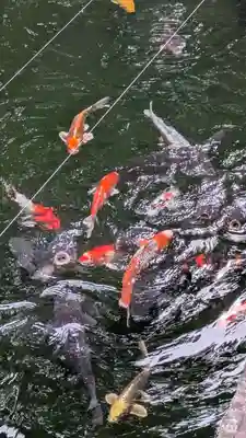 建部大社(滋賀県)