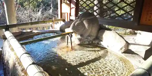 住吉大社(大阪府)