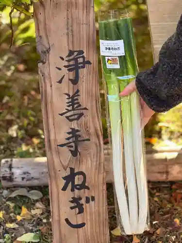 浄善寺(島根県)