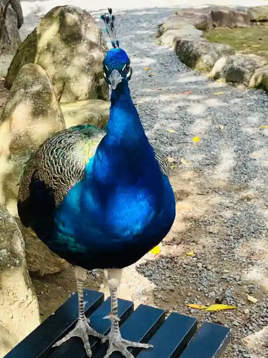 楽法寺(雨引観音)(茨城県)