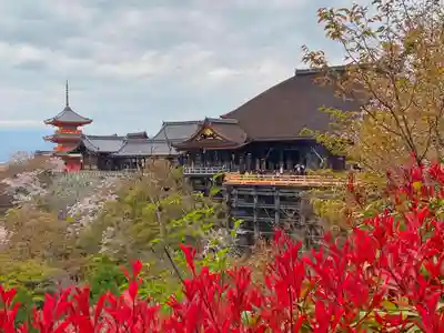清水寺の本殿・本堂