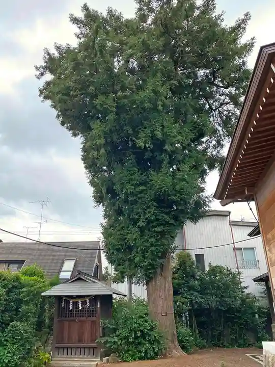 健田須賀神社の自然