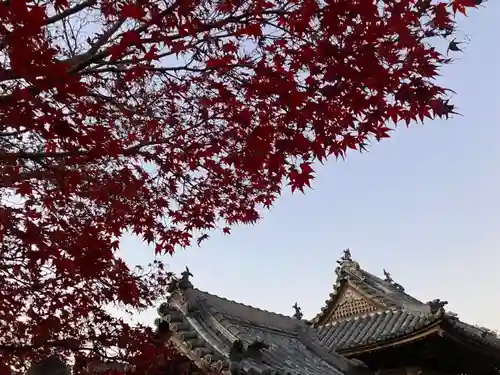 真言宗　善通寺派　薬王寺(香川県)