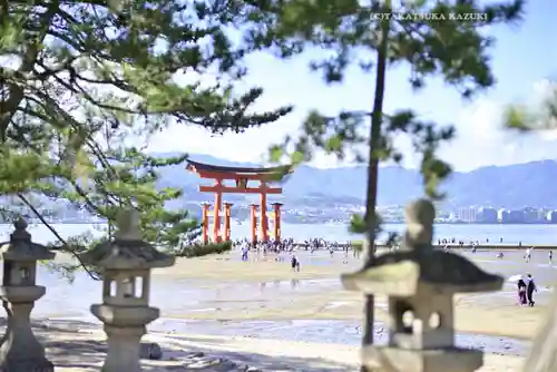 厳島神社(広島県)