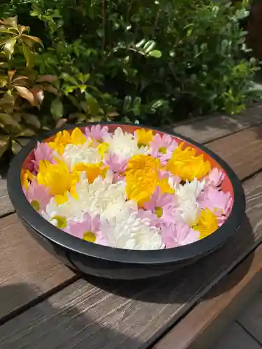 増上寺塔頭 三縁山 宝珠院の{uncategorized: "未分類", other: "その他", undefined: "問題あり", building: "その他建物", grave: "お墓", sacred_gate: "鳥居", guardian: "狛犬", statue: "像", buddha: "仏像", history: "歴史", nature: "自然", garden: "庭園", animal: "動物", pagoda: "塔", temizu: "手水舎", mountain_gate: "山門・神門", sanctuary: "本殿・本堂", subordinate: "末社・摂社", art: "芸術", scenery: "景色", jizo: "地蔵", ema: "絵馬", goshuin: "御朱印", omikuji: "おみくじ", items: "授与品その他", amulet: "お守り", goshuincho: "御朱印帳", eats: "食事", festival: "お祭り", votive_dance: "神楽", shichigosan: "七五三参", wedding: "結婚式", experience: "体験その他", initially: "初詣", around: "周辺", anti_infection: "感染症対策"}