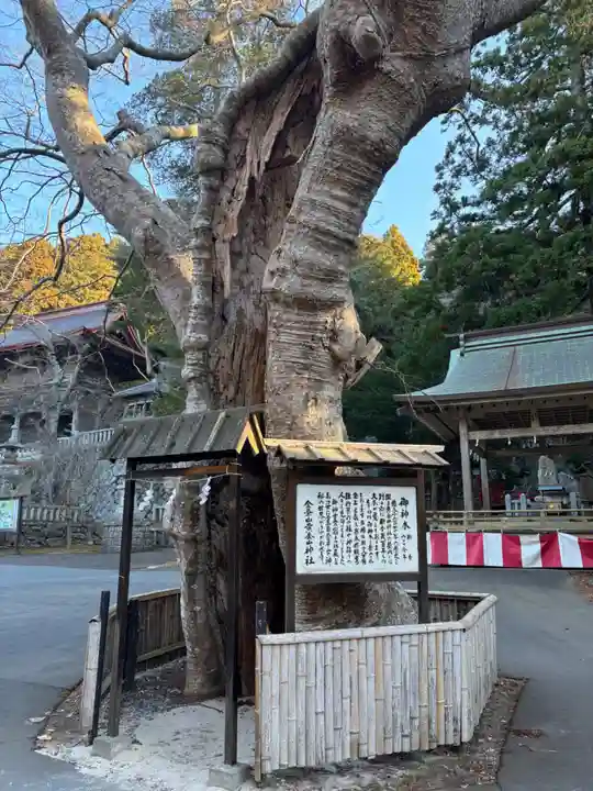 金華山黄金山神社(宮城県)