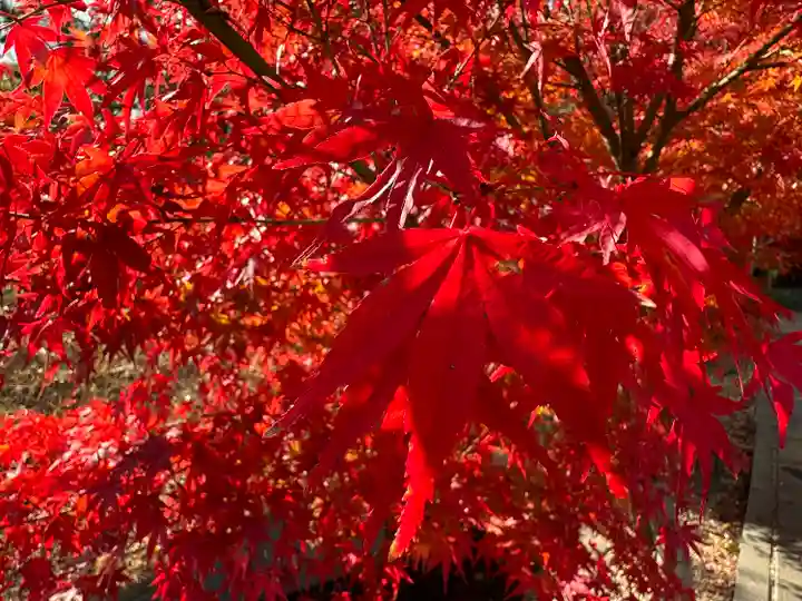 伊勢の国 四天王寺(三重県)